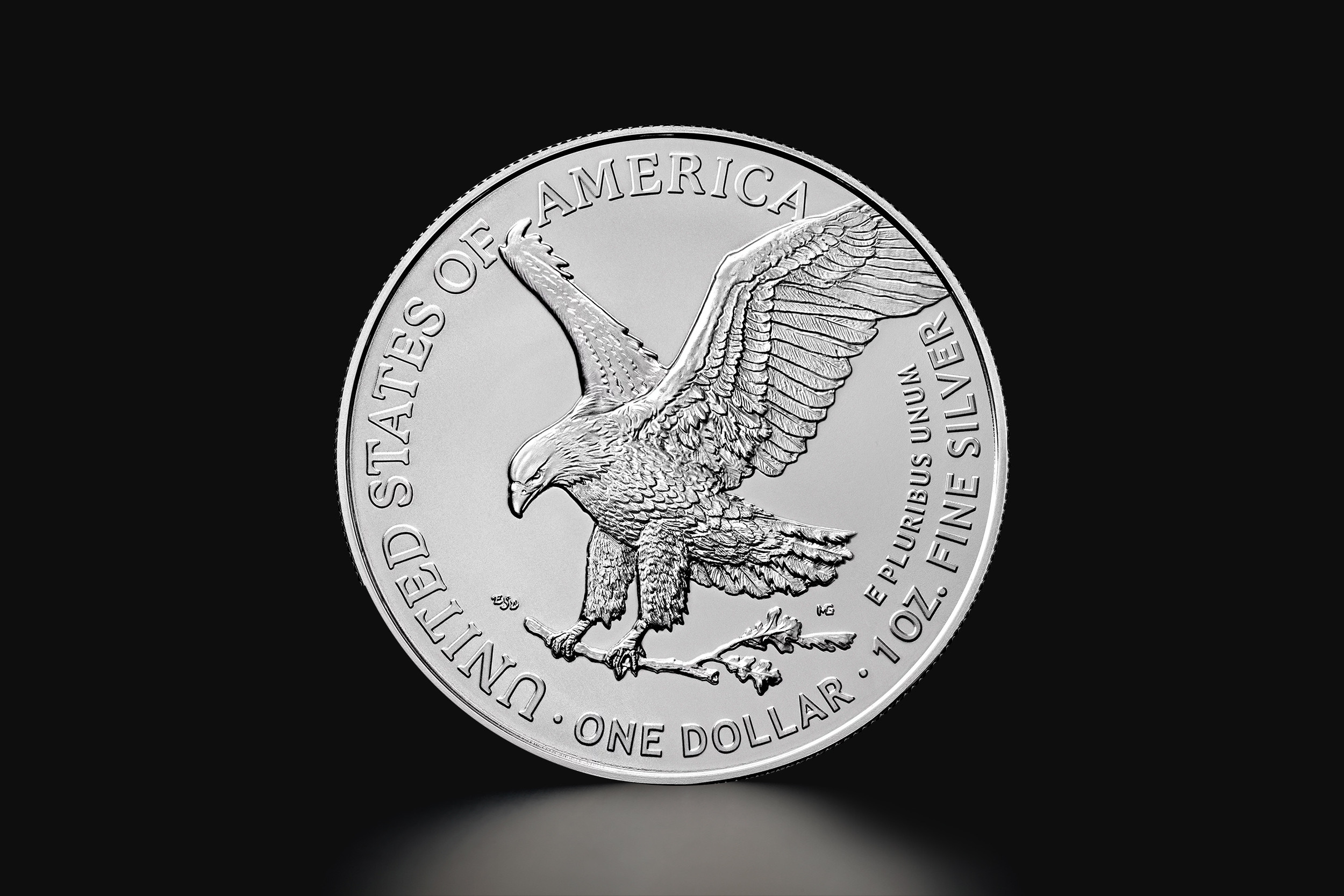 1 oz American Eagle Silver Coin 2024 Tavid Kuld H be