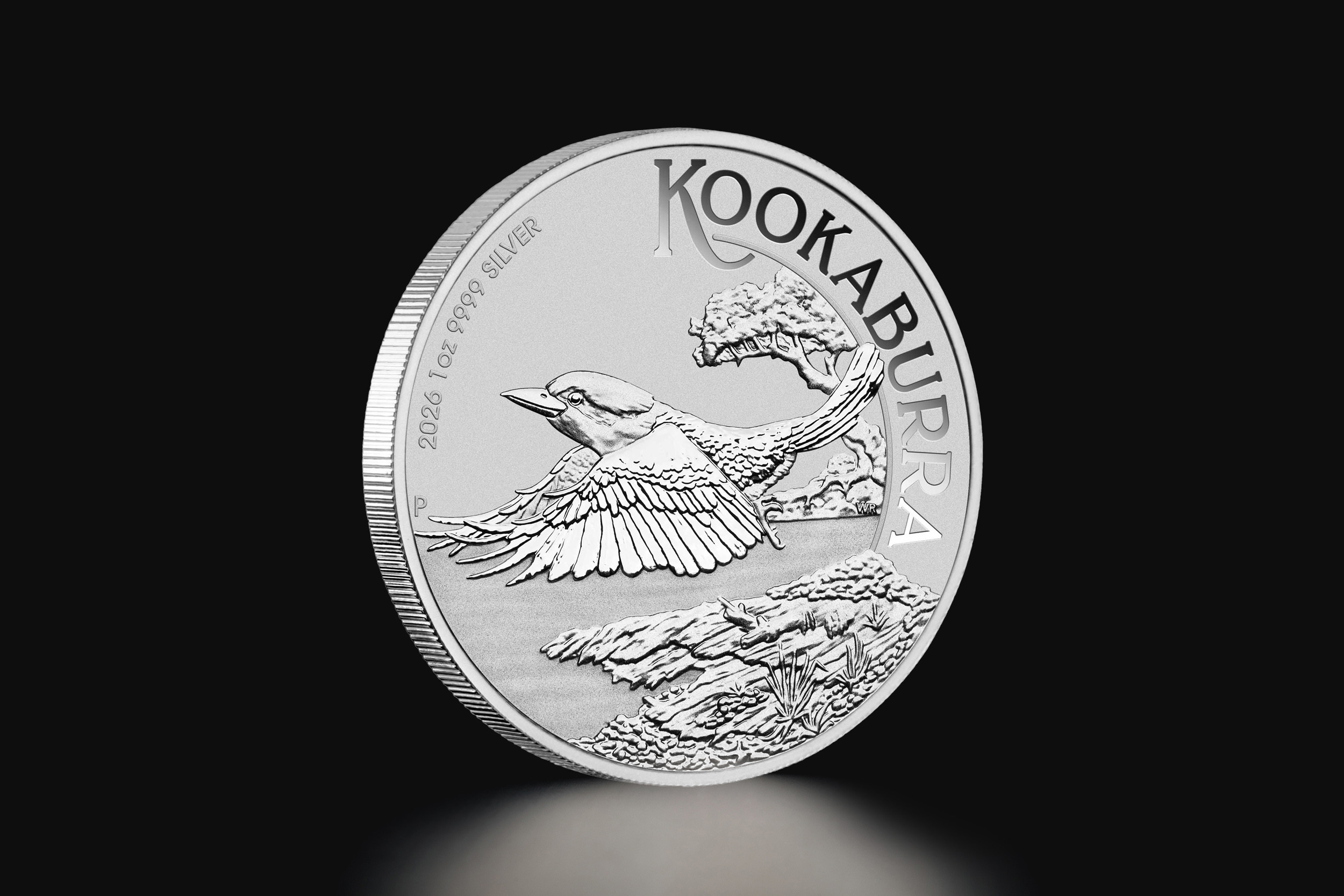 australia-silver-kookaburra-