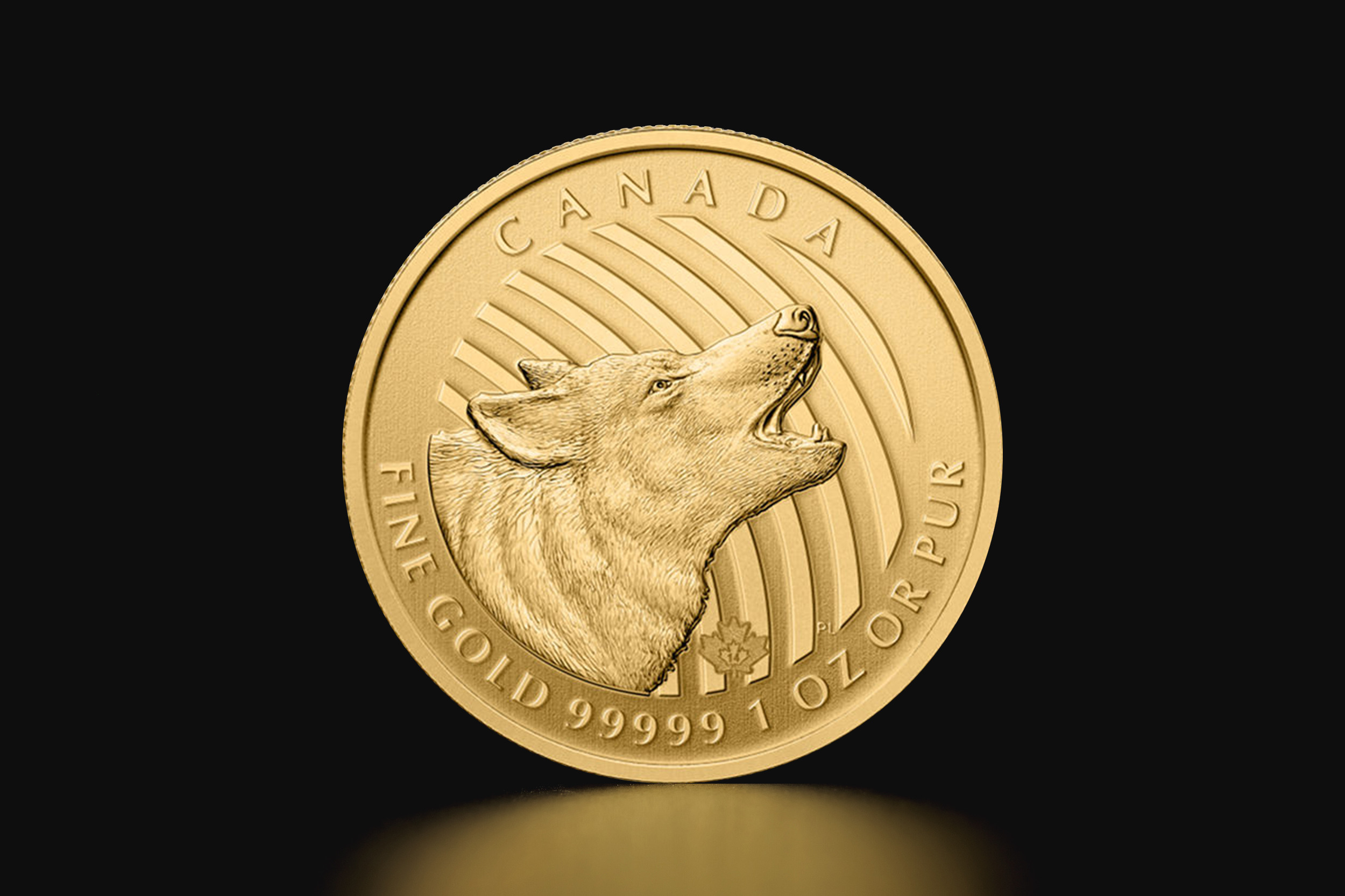 canada-maple-99999-2014-wolf-