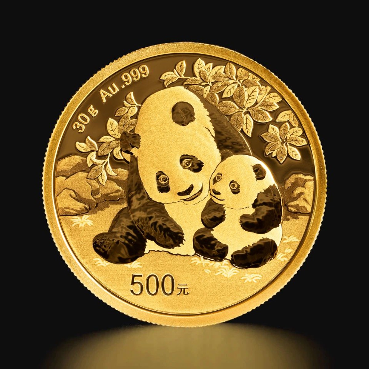 Silbermünze China Panda 2024 30 Gramm Farbe in Kapsel mit Produktkarte